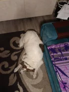 ������. ����