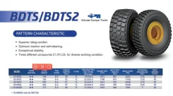 Hilo BDTS. �����������, 2024 ���, ����� ����
