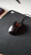 ���� �������. ����