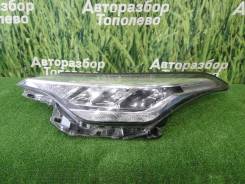 ���� ����� Toyota C-HR NGX50 8Nrfts 10113 ����