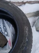 Nordman 7. ������, ����������, �/�, ����� 50 % ����