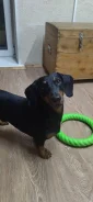 �����. ����