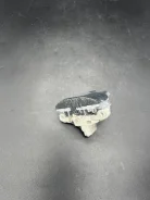 ��������� ���������� 12311702927 12311702927 ����