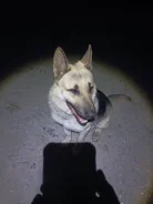 ��������-����������� �������. ����