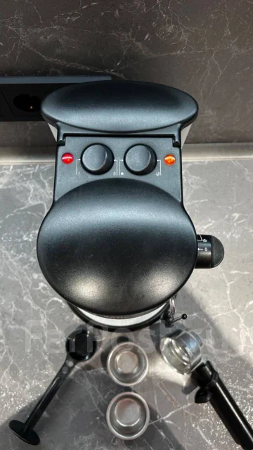 ���������. ����