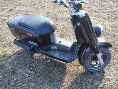 Yamaha Vox. 49����. ��., ��������, ��� ���, ��� ������� ����