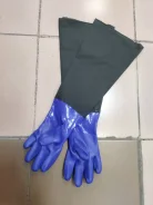 �������� ���������� ���������� ��� ����