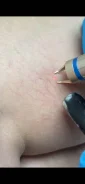 �������� �������, ���������� ���������. ����