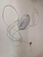 ���� �������. ����