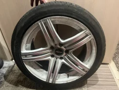 Weds Leonis Navia 01. x18" ����