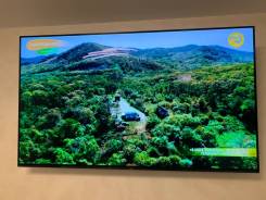 Sony. OLED 