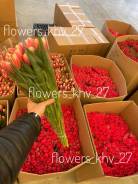 ��������. ��� ����� �� ���������� ����