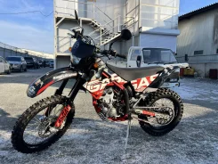GasGas EC 250