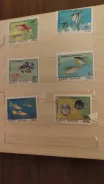 �������� ����� 1980 � ������������� ����� ������� 300 ��� ����