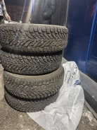 Nokian Hakkapeliitta 09. ������, ����������, �/�, ����� �� 5 % ����