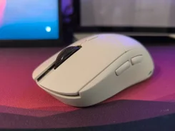 ���� �������. ����