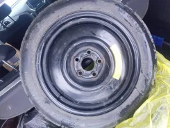 Transtone. ������, 2024 ���, �/�, ����� �� 5 % ����