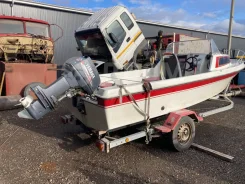 Yamaha Fish 17. 1987 ���, ����� 5,2��., ��������� ���������, 40��.�., ������ ����