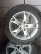 Delinte. ������, 2023 ���, �/�, ����� �� 5 % ����