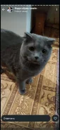 ���������� �����. ����