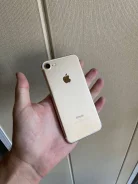Apple iPhone 7. �/�, 32 �� ����
