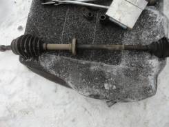 ������ �������� ������ ����