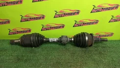 ������ AGT20, ASA42 Toyota, Scion Alphard, �Estima, �Previa, �RAV4, �Tarago, �TC, �Vellfire [4342028090], ����� �������� 4342028090 ����