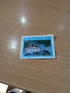 ����� ���� ����������� ����� ������ 1997 ��� ������� ����