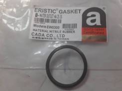 ��������� ���������� Eristic EW0300 EW0300 ����