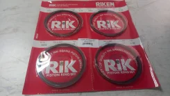 ������ ��������� 0,50 (�������� �� 4 ������) RIK 16 053 050 16053050 ����
