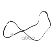 ������belt,v-ribbed Toyota ���. 9091602600 9091602600 ����