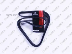 ������ ��������� /TI-GUAR ��� Nissan Primera 2002-2007, Terrano 1998-2011, Renault Laguna 2001-2011, Duster -2021 ; 7PK1793; VKMV7PK1792 8200833558 Ti...