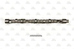 ���������� ��� Zevs CS1431 CS1431 ����
