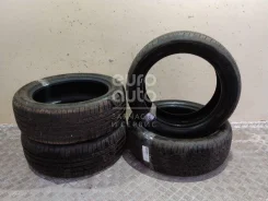 Tourador Winter Pro Max