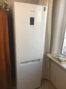 ������������. ����