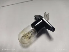 ��������. ����