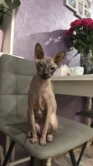 ������. ����