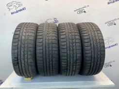 Nexen Winguard Sport