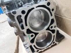 ��� �������� EJ 255 11008-AA950 ����
