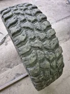 Nokian Rockproof