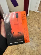 ���� �������. ����