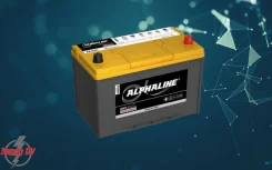 Alphaline. 90��.�., D31, 800��., ������, ������������ �����. ��� ����� �� ���������� ����