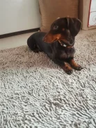 �����. ����
