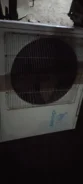 Deer ����