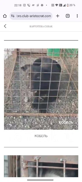 ������. ����