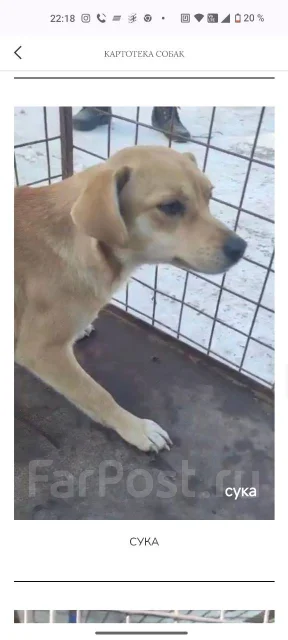 ������. ����