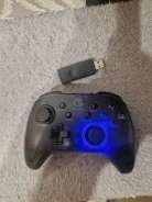 ��������. ����