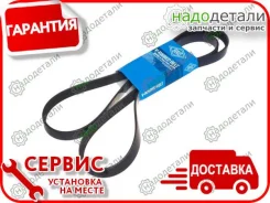 ������ ������������ Sun � ��������� � ��������� [6PK1880] 6PK1880 ����