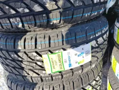Rapid Ecolander. ����� at, 2024 ���, ����� ����