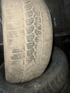 Riken AllStar Stud. ������, ����������, 2016 ���, �/�, ����� 50 %. ��� ����� �� ����������� ����
